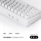 Cybeart Akula 65 Compact 65% Tri-Mode Wireless RGB Mechanical Keyboard White