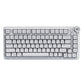 Cybeart Nighthawk 75 TKL Tri-Mode Wireless RGB Mechanical Keyboard