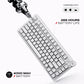 Cybeart Nighthawk 75 TKL Tri-Mode Wireless RGB Mechanical Keyboard