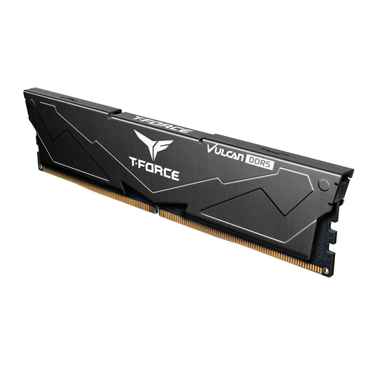 TEAMGROUP T-Force Vulcan DDR5 16GB 5200MHz CL40 Desktop RAM (Black)