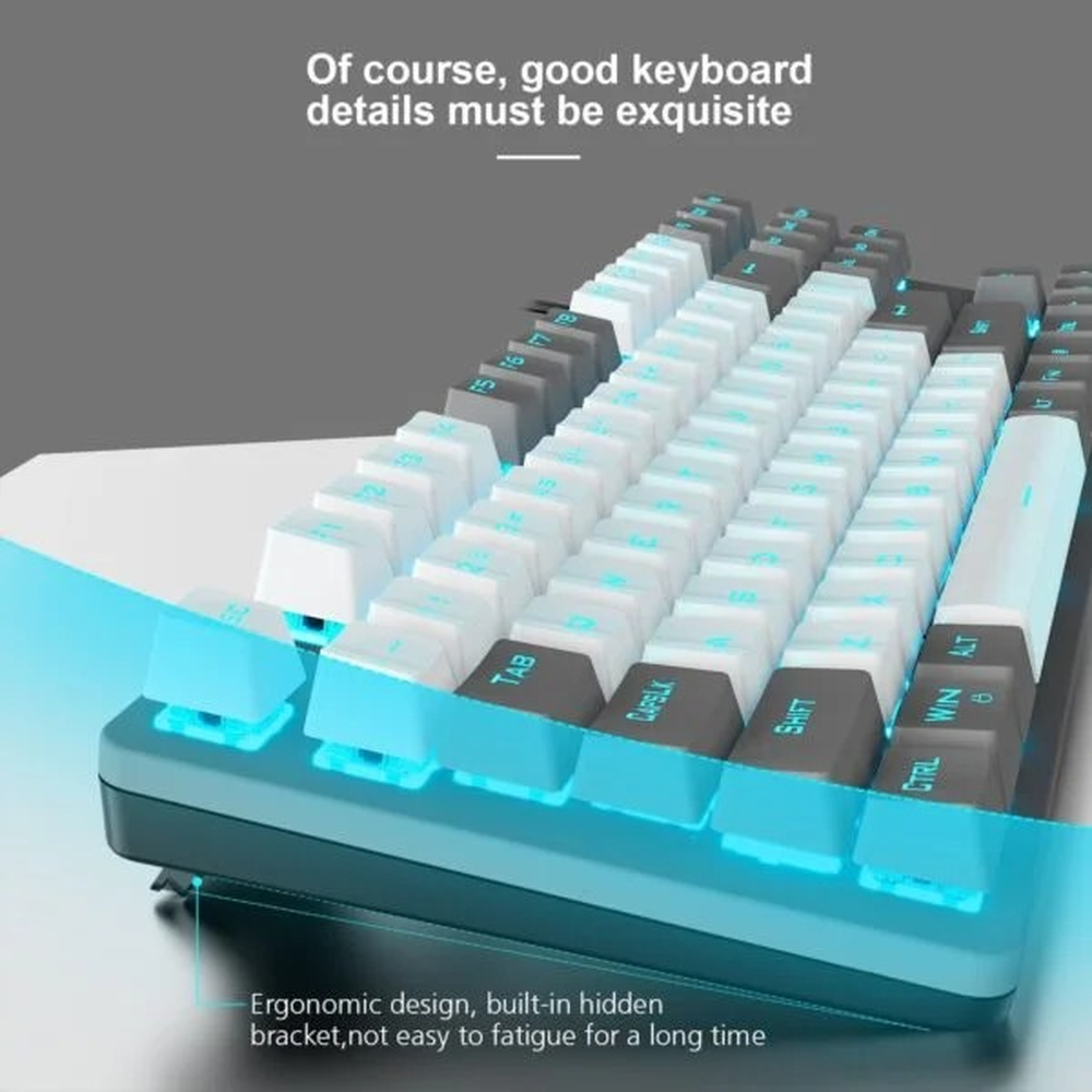 AULA F3287 TKL Wired Mechanical Gaming Keyboard | Grey White, Blue Switch (F3287GW)