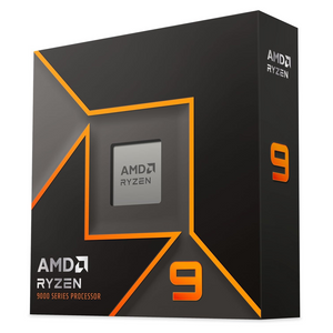 AMD Ryzen 9 9900X